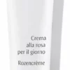 Beste deal 👏 Dr. Hauschka Rozencrème - 30 Ml - Dagcrème 🥰 -Beauty Winkel 297x840 1