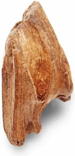 Uitgang ✨ Giorgio Armani Armani Code 30 Ml - Eau De Toilette - Herenparfum 🛒 -Beauty Winkel 405x840 4