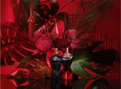 Uitgang 🔥 Jean Paul Gaultier - La Belle Le Parfum Eau De Parfum Intense - 50 Ml 🧨 -Beauty Winkel 550x404 2