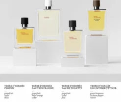 Korting 🎁 Herm?s Herm S Terre D'Herm S 50ml - Eau De Toilette - Herenparfum 🔔 -Beauty Winkel 550x464 1