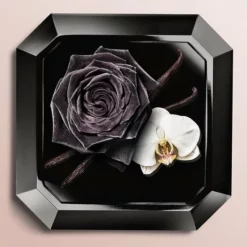 Kopen π Lancôme Trésor La Nuit 50 Ml - Eau De Parfum - Damesparfum β€οΈ 22 Kopen π Lancôme Trésor La Nuit 50 Ml - Eau De Parfum - Damesparfum β€οΈ -Beauty Winkel 550x550 335