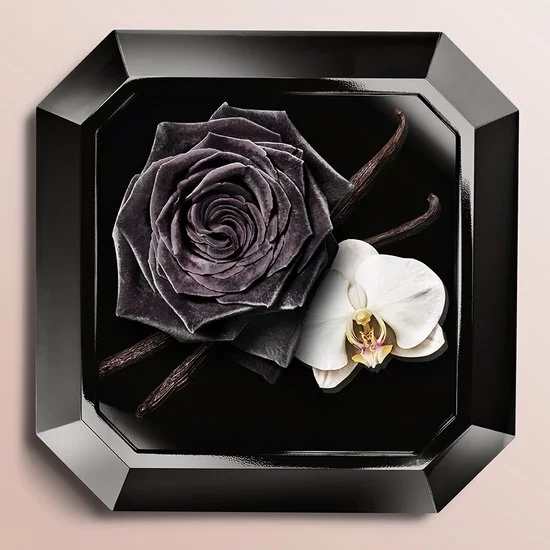 Kopen π Lancôme Trésor La Nuit 50 Ml - Eau De Parfum - Damesparfum β€οΈ 10 Kopen π Lancôme Trésor La Nuit 50 Ml - Eau De Parfum - Damesparfum β€οΈ - Afbeelding 8