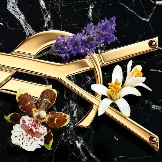 Beste deal ๐ Yves Saint Laurent Libre Intense 90 Ml - Eau De Parfum - Damesparfum ๐งจ 4 Beste deal ๐ Yves Saint Laurent Libre Intense 90 Ml - Eau De Parfum - Damesparfum ๐งจ - Afbeelding 2