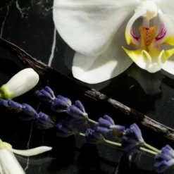 Beste deal ๐ Yves Saint Laurent Libre Intense 90 Ml - Eau De Parfum - Damesparfum ๐งจ 14 Beste deal ๐ Yves Saint Laurent Libre Intense 90 Ml - Eau De Parfum - Damesparfum ๐งจ -Beauty Winkel 550x550 55