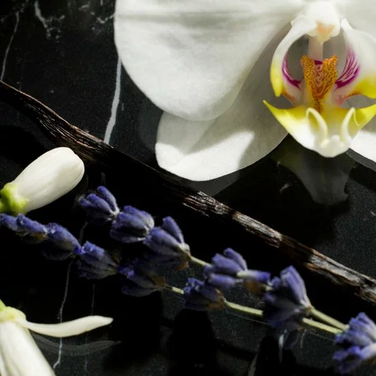 Beste deal ๐ Yves Saint Laurent Libre Intense 90 Ml - Eau De Parfum - Damesparfum ๐งจ 6 Beste deal ๐ Yves Saint Laurent Libre Intense 90 Ml - Eau De Parfum - Damesparfum ๐งจ - Afbeelding 4