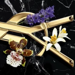 Beste deal ๐ Yves Saint Laurent Libre Intense 90 Ml - Eau De Parfum - Damesparfum ๐งจ 17 Beste deal ๐ Yves Saint Laurent Libre Intense 90 Ml - Eau De Parfum - Damesparfum ๐งจ -Beauty Winkel 550x550 57