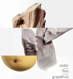 Korting 🎁 Herm?s Herm S Terre D'Herm S 50ml - Eau De Toilette - Herenparfum 🔔 -Beauty Winkel 550x596 1