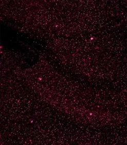 Goedkoopste 🎁 Pink Gellac | Dramatic Red - Gellak - Vegan - Rood - Shimmer Finish - 15 Ml 🥰 -Beauty Winkel 550x627 2