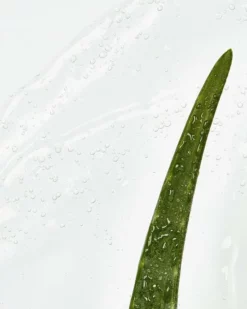 Top 10 ⭐ NIVEA Naturally Good Micellair Washgel Met Biologische Alo Vera - 140ml 💯 -Beauty Winkel 550x687 27