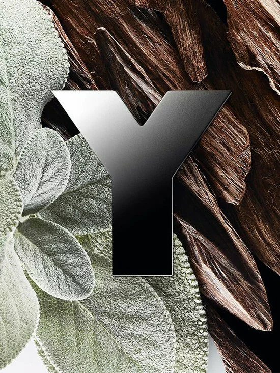 Groothandel ๐ Yves Saint Laurent Y 100 Ml - Eau De Parfum - Herenparfum ๐ 22 Groothandel ๐ Yves Saint Laurent Y 100 Ml - Eau De Parfum - Herenparfum ๐ - Afbeelding 20